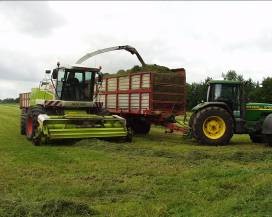 Kvægxperten græsensilage