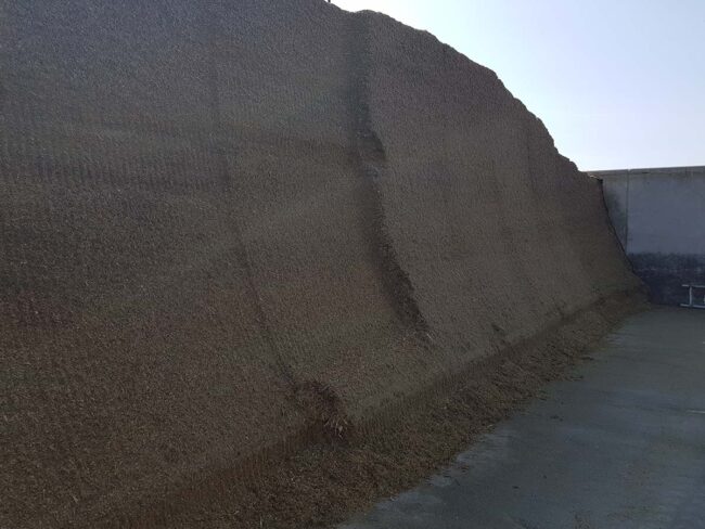 Silo med majs 04062019_web