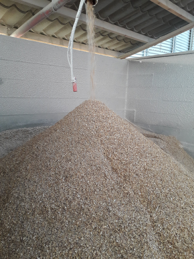 Valset blandet korn – øko_web